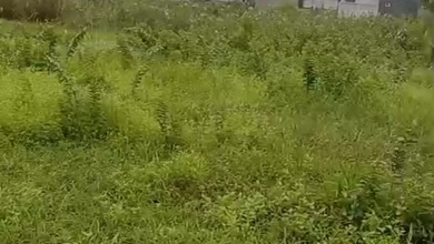 Tanah Dekat Pasar di Bantar Gebang, Cocok untuk Mendirikan Bisnis