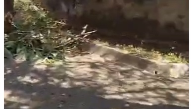 For Sale Tanah Eksklusif di Seminyak, Badung, LT 2752m²