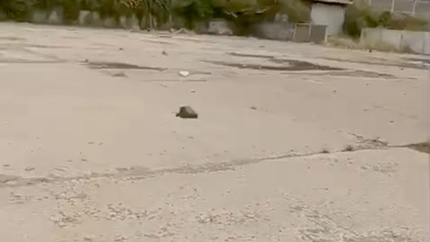 For Lease Tanah Premium di Marunda, Jakarta Utara, LT 20000m²