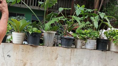 For Sale Tanah Eksklusif di Palmerah, Jakarta Barat, LT 30m²