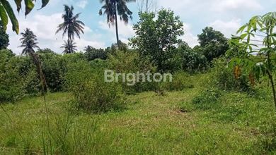 Investasi Tanah Murah di Natar, Lampung Selatan, Luas 400m²