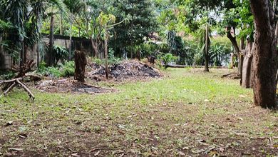 Jual Rumah Baru di Jalan Panjang, Jakarta Barat Luas 1100 m2