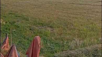 Jual Tanah Kawasan Cluster Jatiwangi View Danau dan Taman