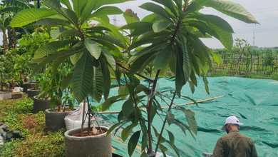 Jual Tanah Minimalis di Area Bekasi, Bekasi