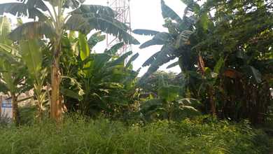 Dijual Tanah Premium di Pondok Bambu, Jakarta Timur, LT 540m²