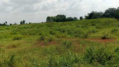 For Sale Tanah Eksklusif di Cikampek, Cikampek, LT 56000m²