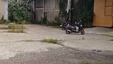 Disewakan gudang di KBN Marunda, JakUt