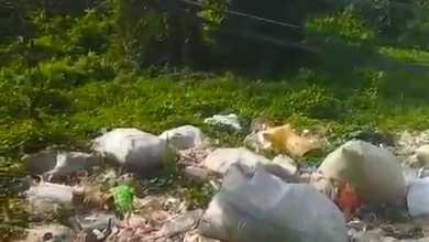 Jual Cepat Gudang dan Tanah di Pulojaya Lemahabang Karawang