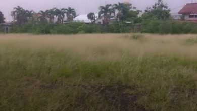 Tanah Kosong Dekat Jalan 7357 m2 Siap Disewa