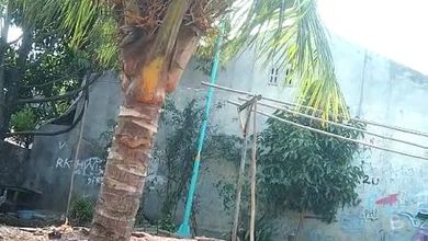 Dijual Tanah Premium di Pondok Cabe, Tangerang, LT 1100m²