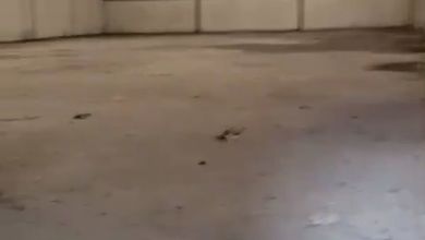 Gudang Disewakan Di Balaraja Tangerang 1500 Bagus Zona Industri