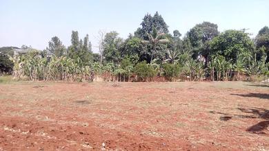 Tanah Elit Dijual di Bintaro, Tangerang Selatan, Harga 19,3 Miliar