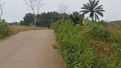 Kavling Prestisius Dijual di Pandeglang, Pandeglang, Harga 93,7 Miliar