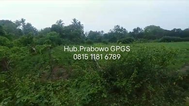 For Sale Tanah Premium di Cikeusik, Pandeglang, LT 400000m²