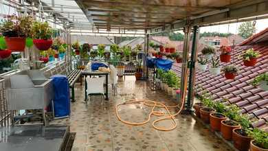 Rumah Modern di Kebayoran Lama, Jakarta Selatan, LT 650 m2