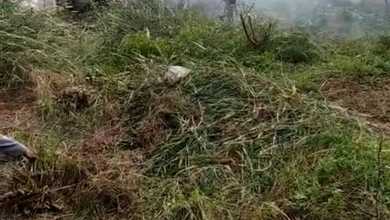 Disewakan Tanah Strategis di Bekasi Barat, Bekasi, Lokasi Prime