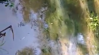 Kavling Prestisius Dijual di Parakan Salak, Sukabumi, Harga 50,4 Miliar