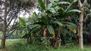 Dijual Tanah Premium di Cikarang Utara, Bekasi, LT 80000m²