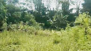 Tanah Elit Dijual di Gunung Putri, Bogor, Harga 3 Miliar