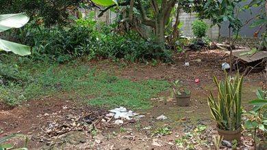 Tanah LT 647 m2 Kawasan Strategis Serpong, Dijual Terjangkau