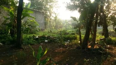 Kavling Prestisius Dijual di Mustikajaya, Bekasi, Harga 10,5 Miliar