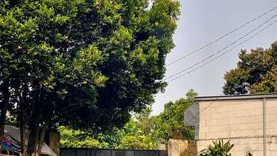 Tanah Elit Dijual di Parung, Bogor, Harga 4,43 Miliar