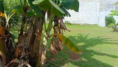 Tanah Nyaman untuk Hunian di Kota Wisata, Bogor, Luas 300m²