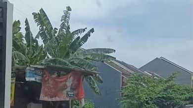 Tanah Ideal untuk Hunian di Sambikerep, Surabaya, Luas 365m²