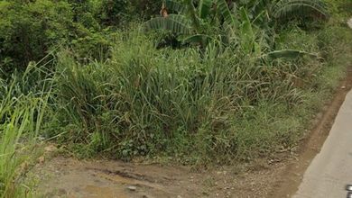 Kavling Prestisius Dijual di Parung Panjang, Bogor, Harga 23,8 Miliar