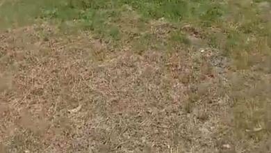 Tanah Elit Dijual di Sunter, Jakarta Utara, Harga 10,2 Miliar