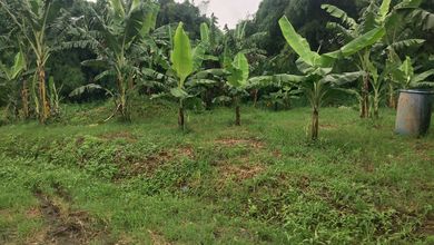 Jual Cepat Pabrik di Legok Tangerang Banten Pinggir Jalan Raya Area Industri di Legok Raya, Legok