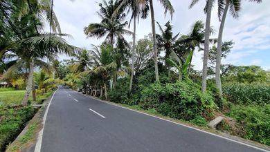 Kavling Prestisius Dijual di Gianyar, Gianyar, Harga 57,6 Miliar