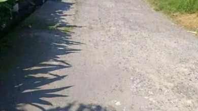 Kavling Prestisius Dijual di Renon, Denpasar, Harga 770 Miliar