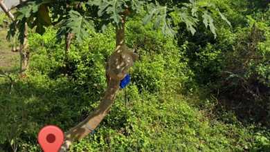 Tanah Elit Dijual di Ungasan, Badung, Harga 106 Miliar