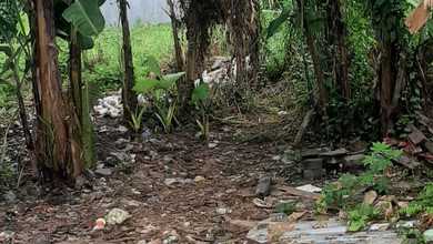 Jual Tanah Minimalis di Area Denpasar Utara, Denpasar