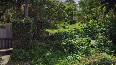 Dijual Tanah Terjangkau di Bongan, Tabanan, LT 445m²