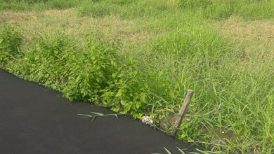 Tanah Strategis di Denpasar Barat, Denpasar, Harga 17 Juta