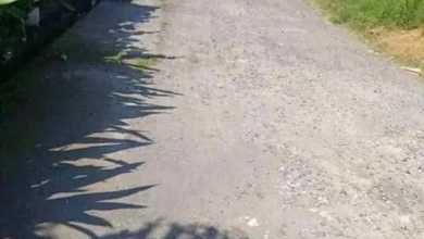 Kavling Prestisius Dijual di Denpasar Selatan, Denpasar, Harga 665 Miliar