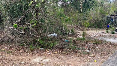 Dijual Tanah Premium di Jimbaran, Badung, LT 204m²