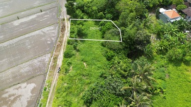 Investasi Tanah Murah di Tabanan, Tabanan, Luas 245m²