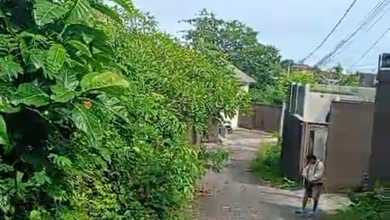 For Sale Tanah Premium di Ungasan, Badung, LT 500m²