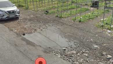 For Sale Tanah Premium di Denpasar Barat, Denpasar, LT 29000m²