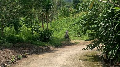 For Sale Tanah Eksklusif di Nusa Penida, Klungkung, LT 900m²