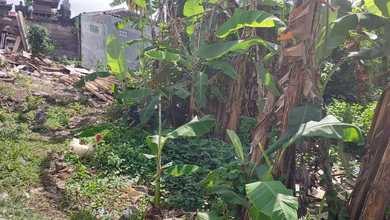 Jual Tanah Minimalis di Area Denpasar Barat, Denpasar