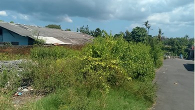 Jual Tanah Minimalis di Area Sempidi, Badung