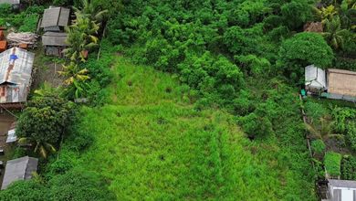 Dijual Tanah Premium di Gianyar, Gianyar, LT 2720m²