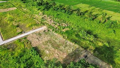 For Sale Tanah Premium di Kedungu, Tabanan, LT 823m²