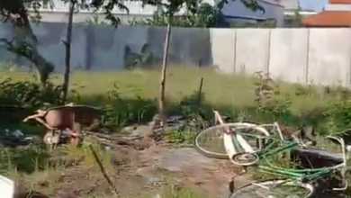 Dijual Tanah Terjangkau di Denpasar Barat, Denpasar, LT 2000m²