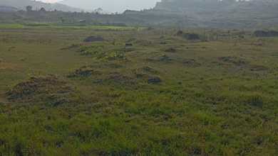 Kavling Komplek x  Area Klapanunggal