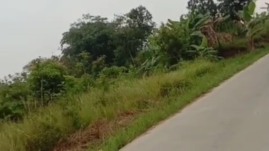 Dijual Tanah Eksklusif di Parung, Bogor, LT 40000m²